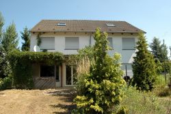 Ansicht vom Garten Ansicht vom Garten