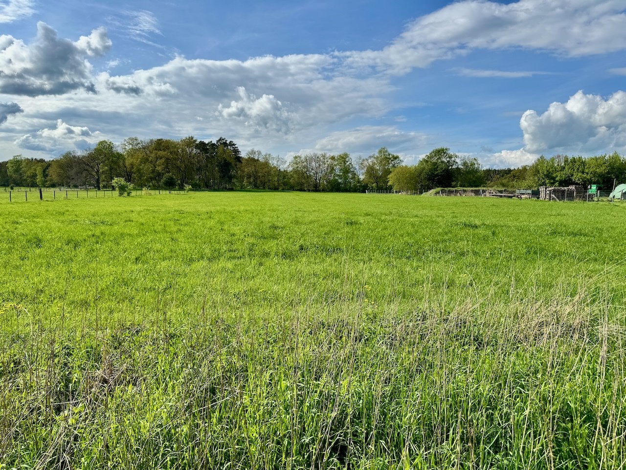 Acker,-Weidefläche Acker,-Weidefläche