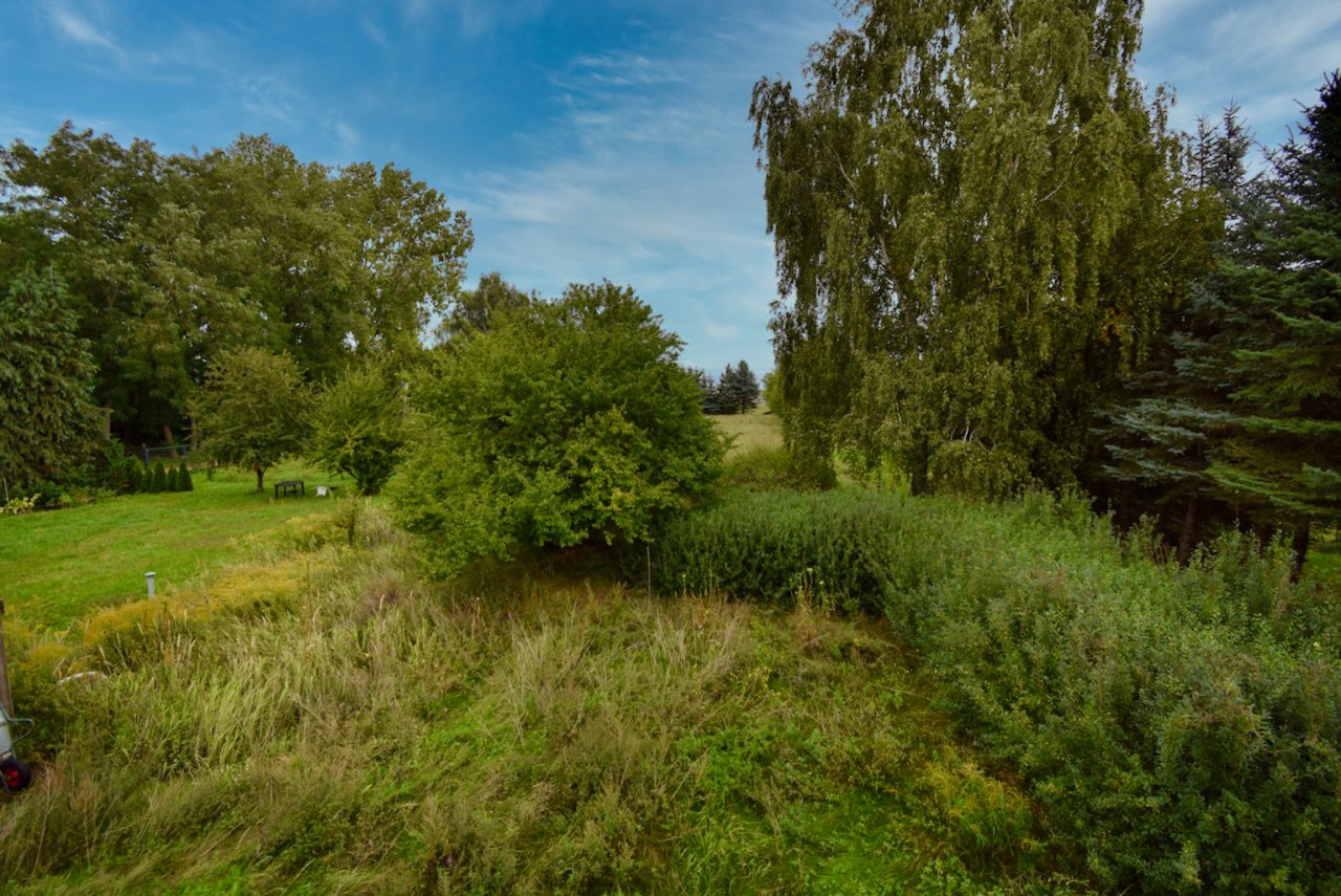 Im Garten