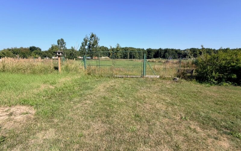 Wiese hinter dem Haus inkl.
